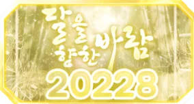 20228