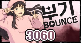 3060