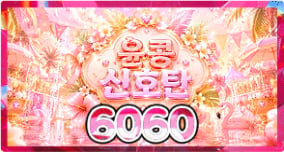 6060